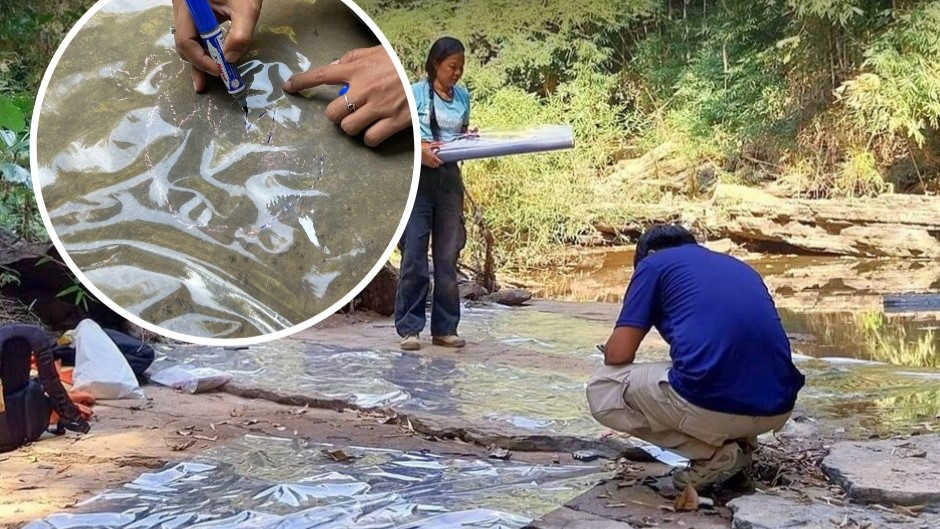 geologists surveying dinosaur footprints in mudstone in thailand with plastic sheet