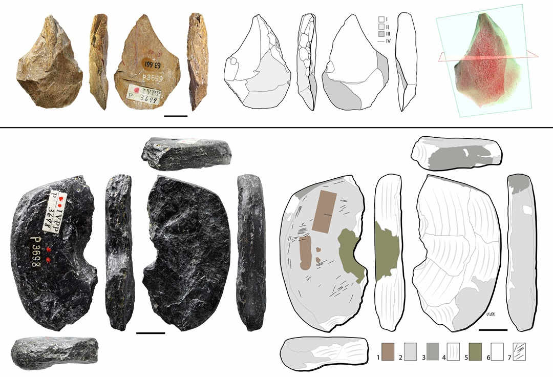 stone and bone tools diagram on white background
