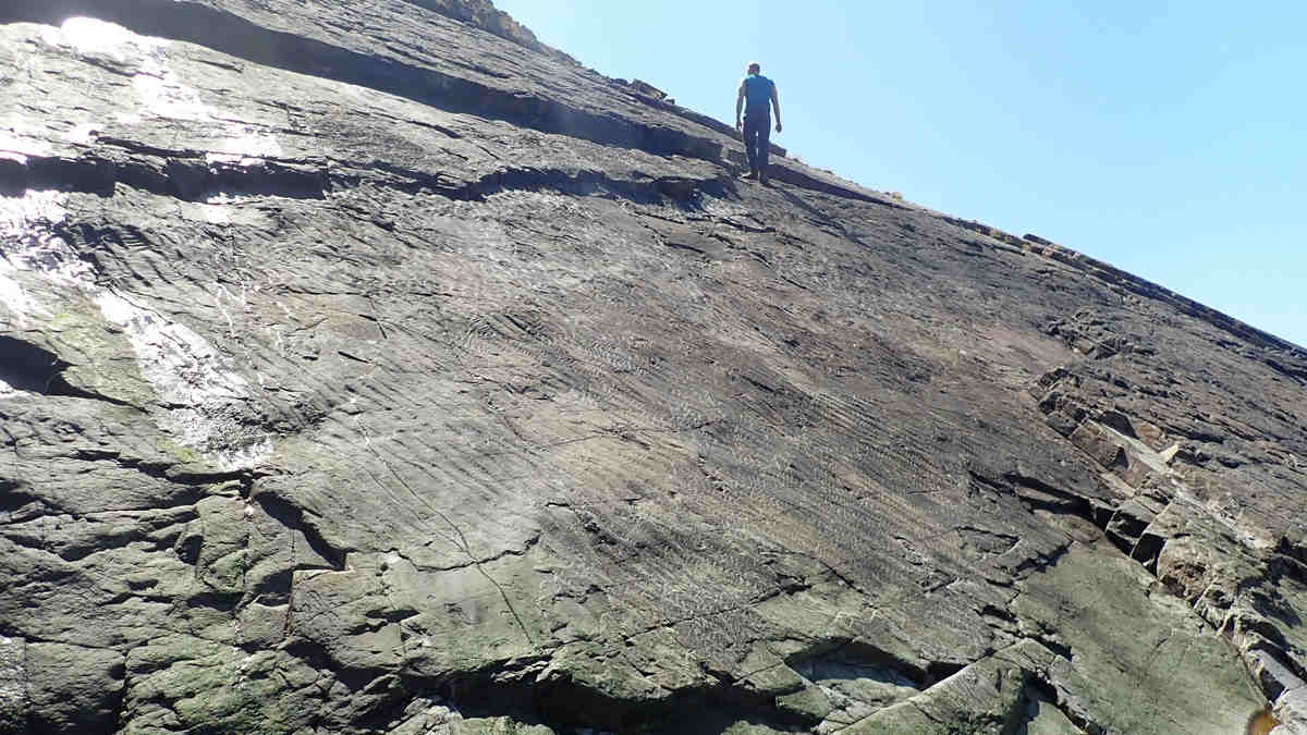 slanted fossil bed on cliff with man walking on it