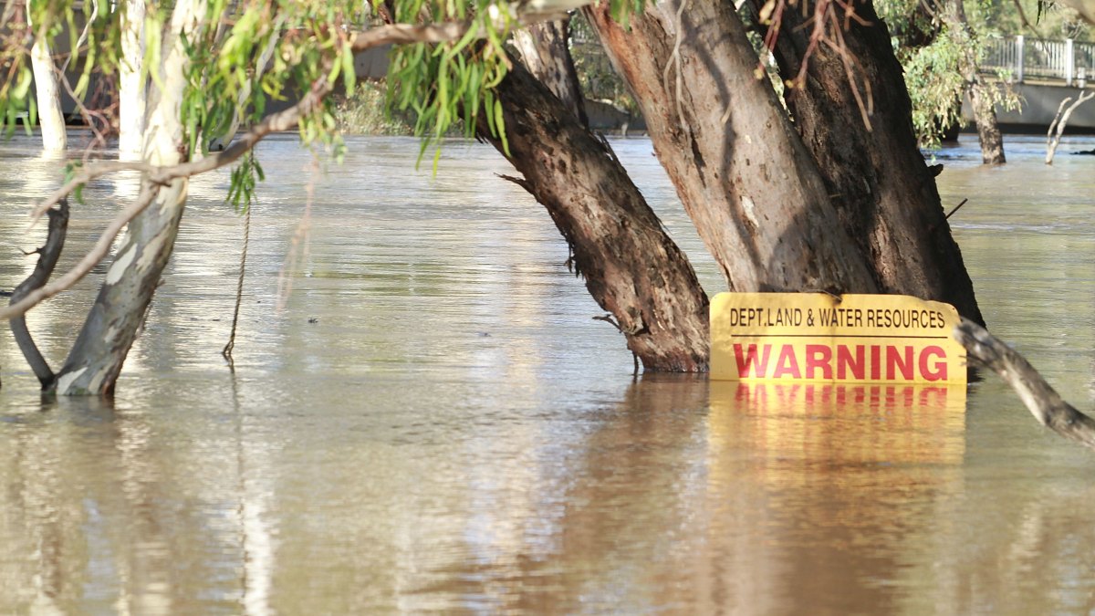 A sign pinned to a tree is submerged beneath a rising river