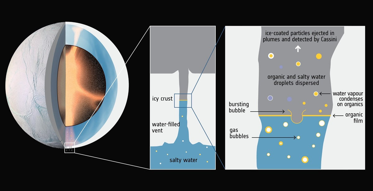 The drawing on the left depicts Enceladus and its ice-covered ocean, with cracks near the south pole that are believed to penetrate through the icy crust. The middle panel shows where authors believe life could thrive: at the top of the water, in a proposed thin layer (shown yellow) like on Earth’s oceans. The right panel shows that as gas bubbles rise and pop, bacterial cells could get lofted into space with droplets that then become the ice grains that were detected by Cassini. Credit: European Space Agency.