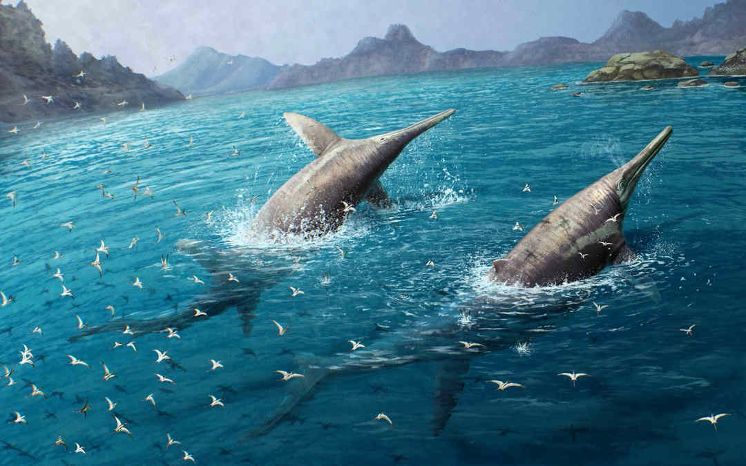 two large marine reptile ichthyosaurs swimming flock of seabirds