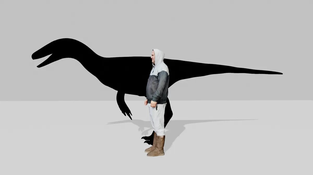 size comparison human raptor