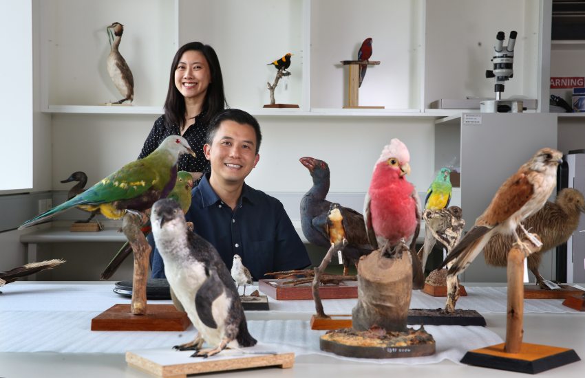 A photograph of a man and a woman, surrounded by taxidermised birds of many species