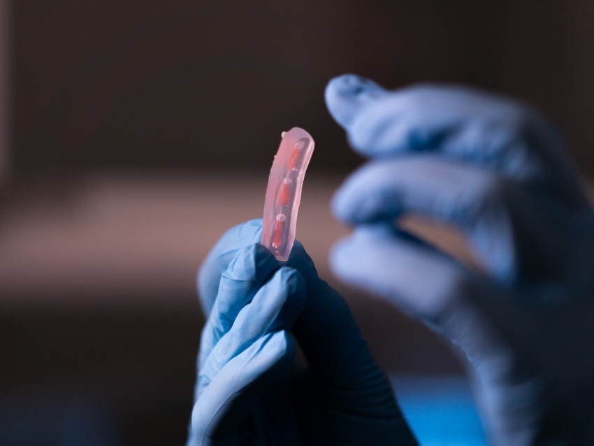 Photograph of blue gloved hands holding a small transparent tube "finger" with 3 dark pink rods inside.