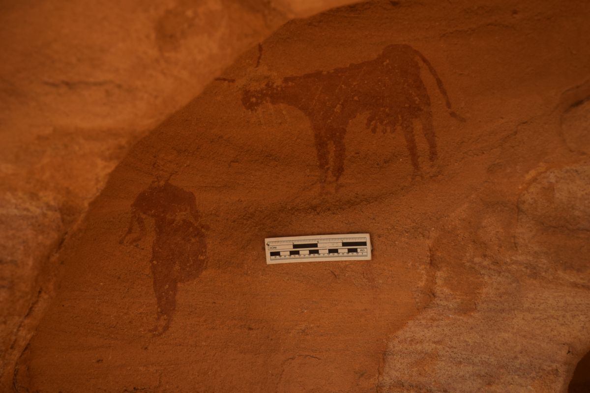 rock art found in Sudan depicting a cow and a man