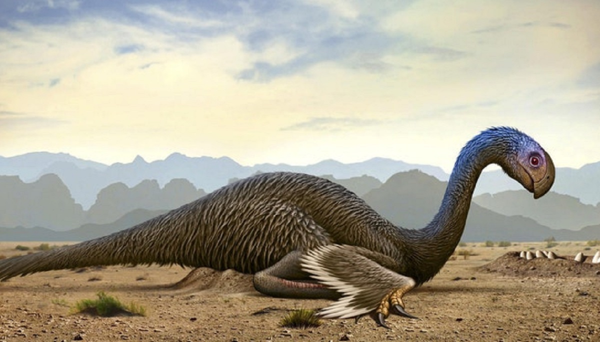 Dinosaur's temperature sheds light on evolution