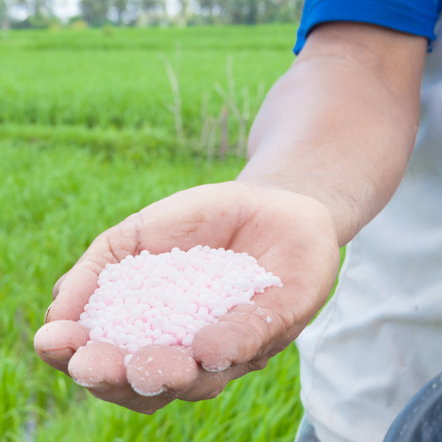 Nitrogen Pollution The Forgotten Element Of Climate Change