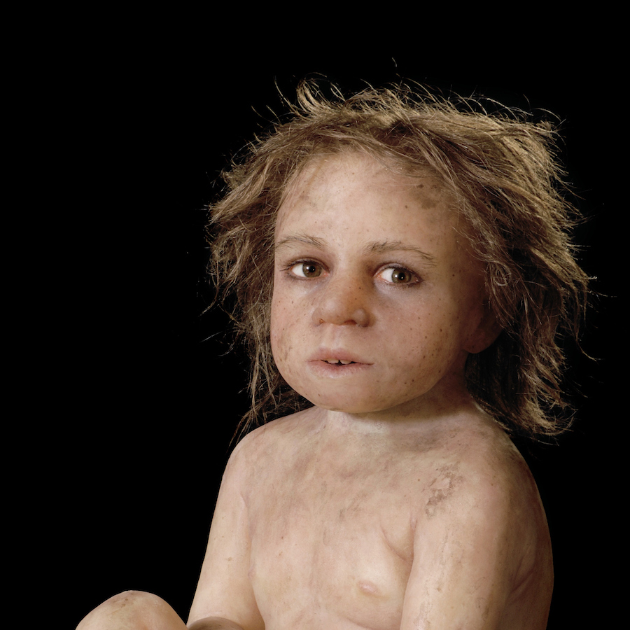 neanderthals and humans interbreeding