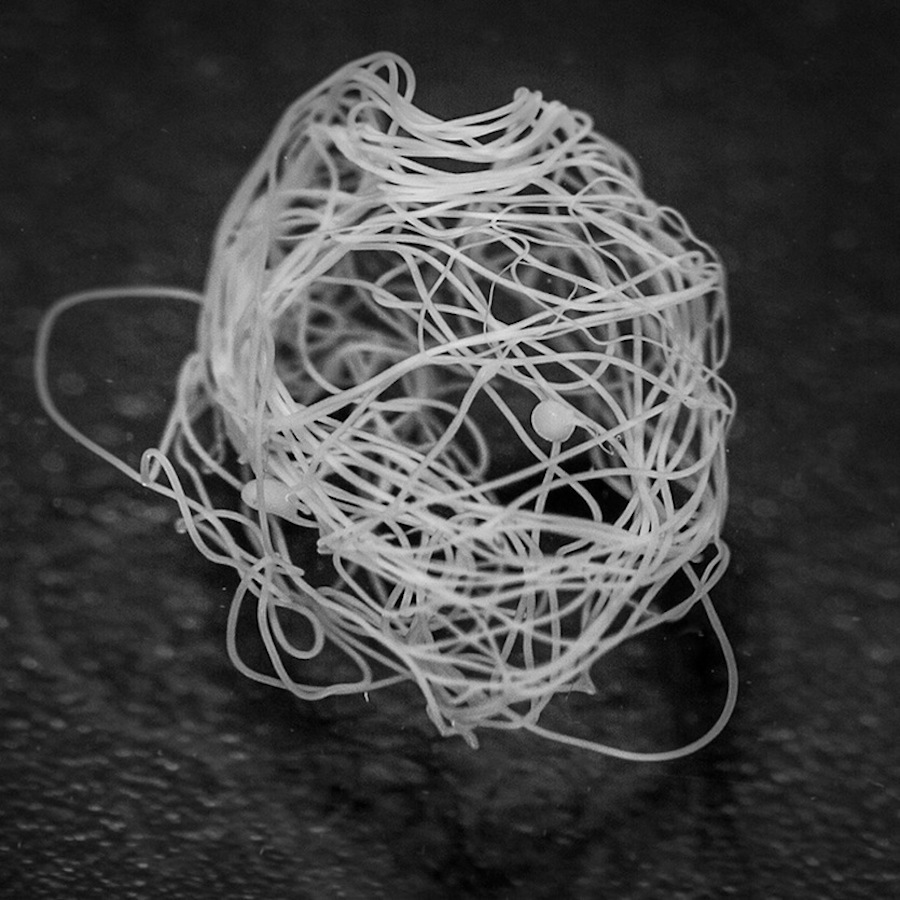 new-synthetic-spider-silk-almost-like-the-real-thing