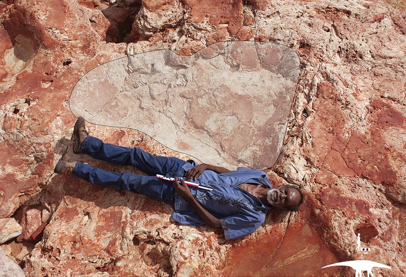 Goolarabooloo elder richard hunter with a 1. 75-metre footprint of a giant sauropod, a plant-eating ‘lizard-footed’ quadruped with a long tail and neck. Scientists have identified six different types of sauropod prints in the rock.