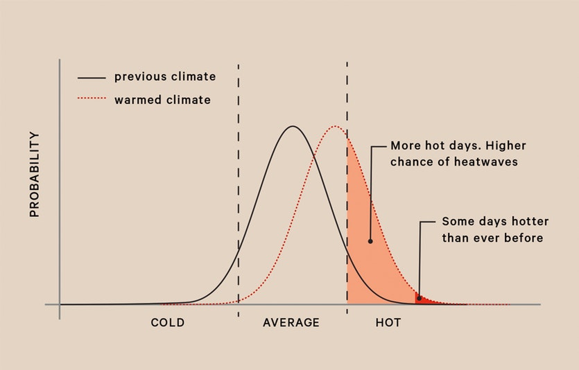 Graph showing the increase in the probability of hot days caused by a small increase in average temperature.
