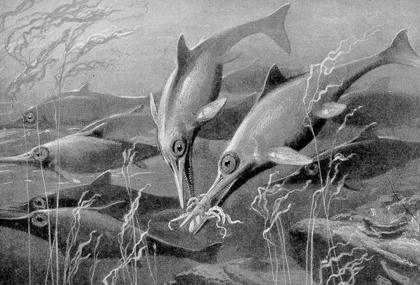 1216 roundup ichthyosaur