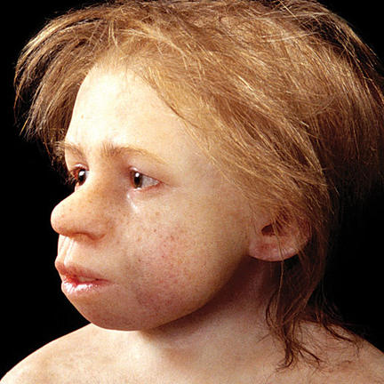 Neanderthal child
