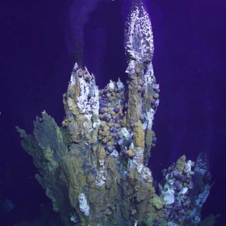 Explore the eerie world of deep-sea vents - Cosmos Magazine