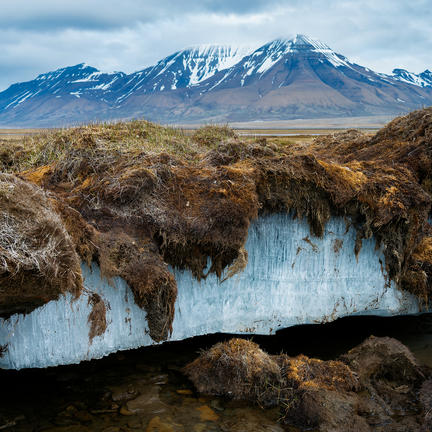 What if arctic permafrost melts?