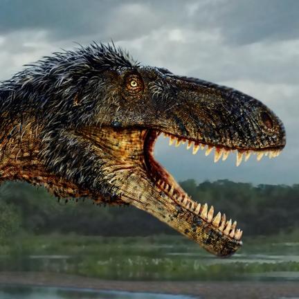 T. rex may have had brains and brawn •