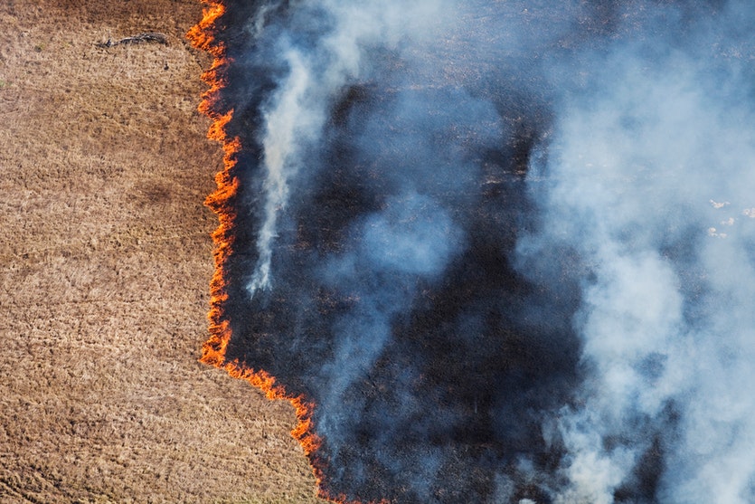 An aerial view of a grassfire.