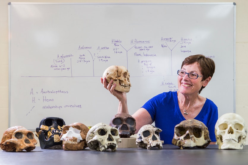 Debbie Argue holds a reconstructed H. floresiensis skull.