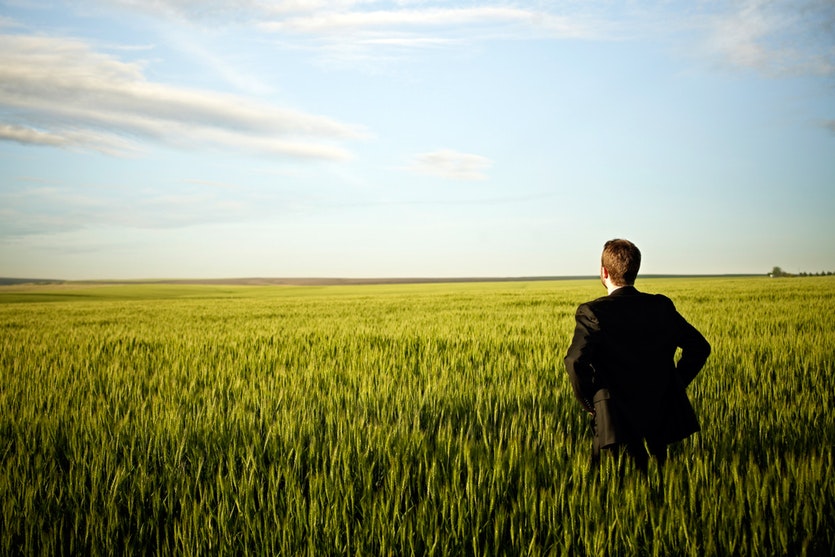A businessman gazing out on a wheatfield and blue sky.