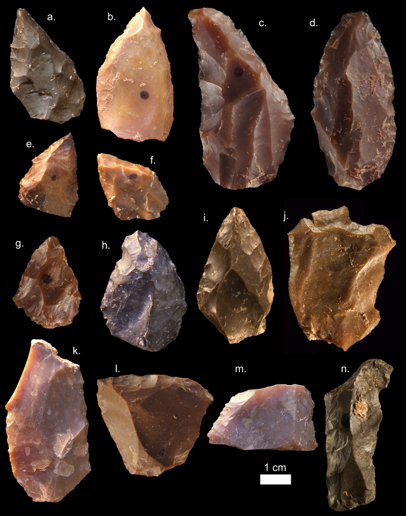 Some of the middle stone age stone tools from jebel irhoud.