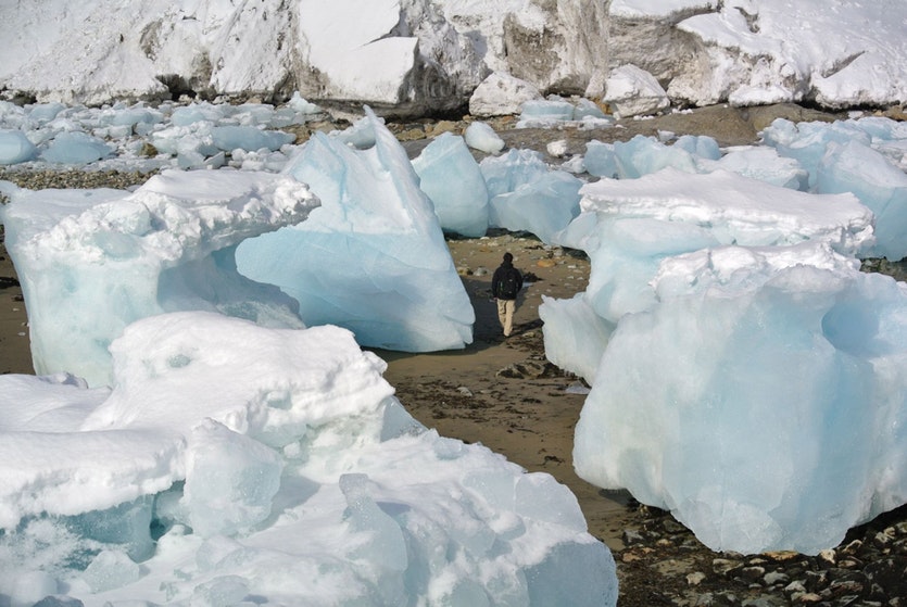 A man walking between melting lumps of ice.