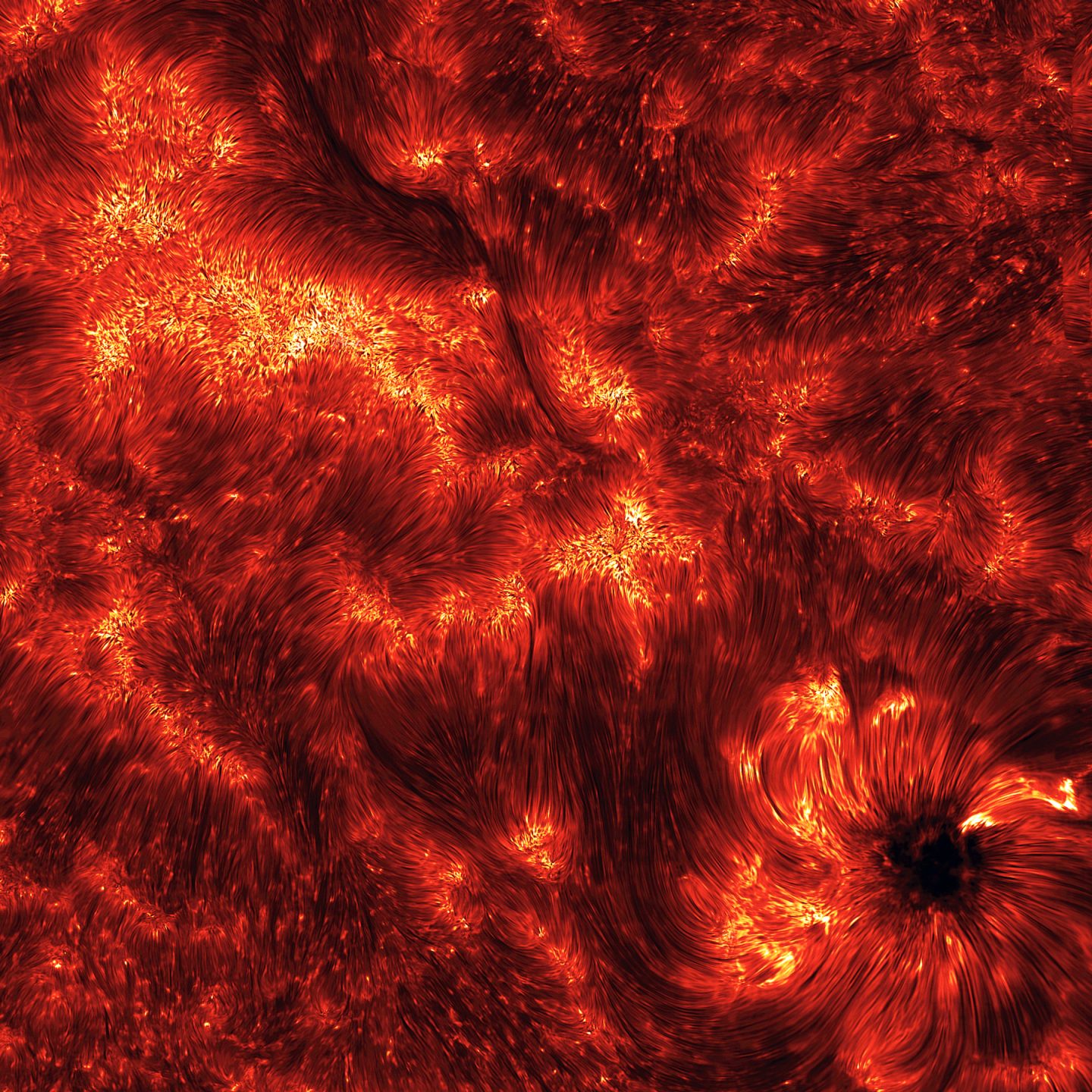 fast-moving tubes of plasma that cover the surface of the Sun.