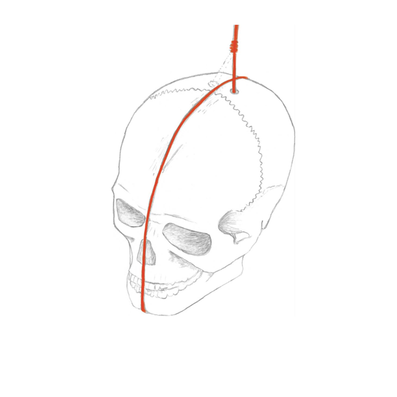 A sketched reconstruction of one of the skills, showing the drilled perforation at the top of the cranium used to suspend the skull with a cord (red) and carvings used to prevent the cord from slipping.