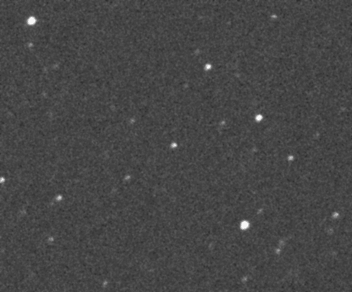 Kuiper belt object 2014 MU69 passing in front of a background star in the constellation Sagittarius.