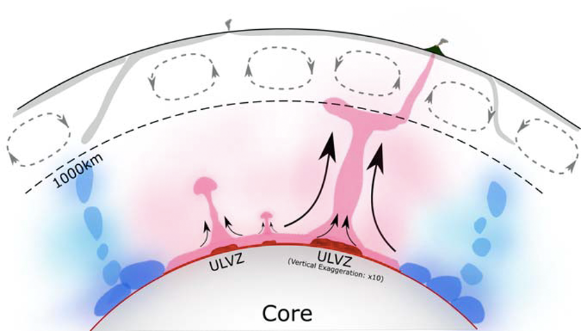 Sketch showing ULVZs (red) at the core-mantle boundary with plumes rising.