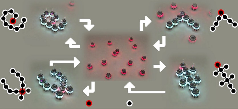 The mergeable nervous system concept. Mns robots consisting of a single robotic unit (center) self-assemble into larger mns robots with a single brain unit (shown in red).