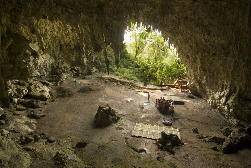 Liang Bua cave.