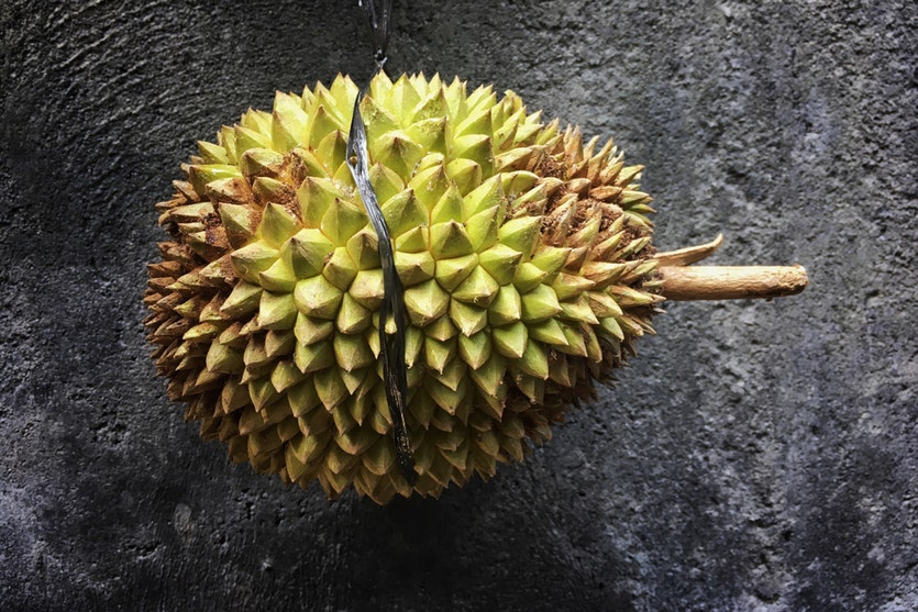 171009 durian full