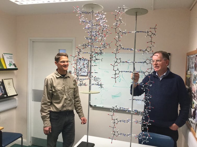 The author stephen harding (right) and dr. Guy channell compare creeth’s model for dna with crick and watson’s.