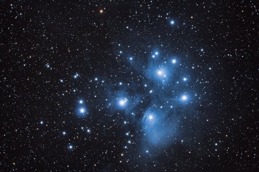The most luminous stars in the pleiades star cluster are blue.