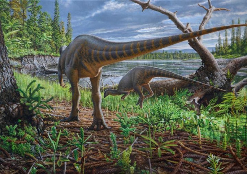 Artist's impression of two diluvicursor pickeringi foraging on the bank of a high-energy river within the australian-antarctic rift valley.