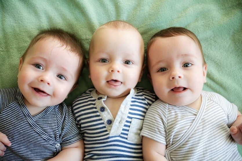 The development of these triplets will be shaped by their genes and their environment.