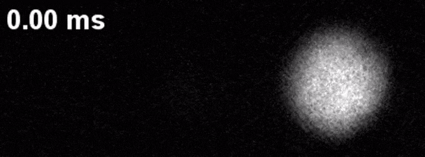 Seen for the first time: 3D skyrmions in an ultra-cold gas.