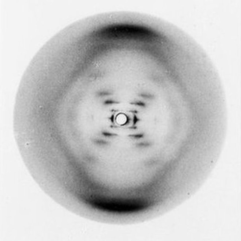 Rosalind franklin's famous &quot;photograph 51&quot;, revealing the double helix structure of dna.