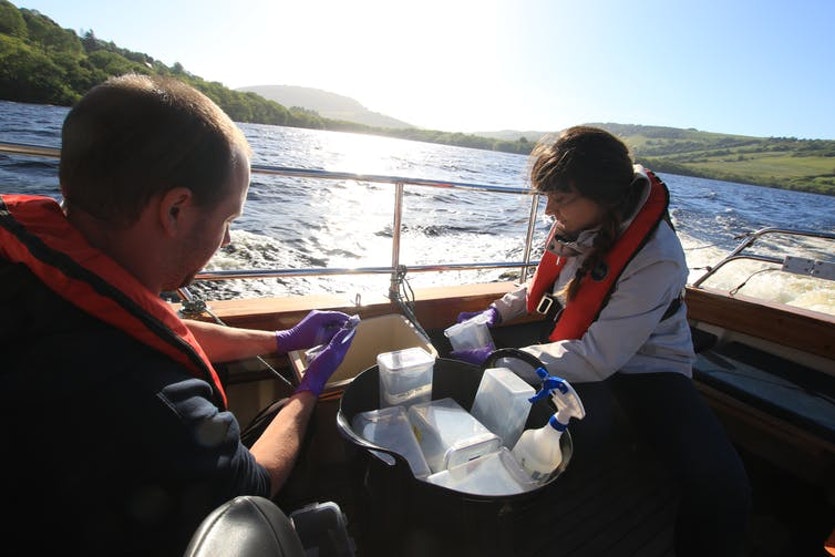 The team took water samples from several sites on the lake, as well as from deep waters.