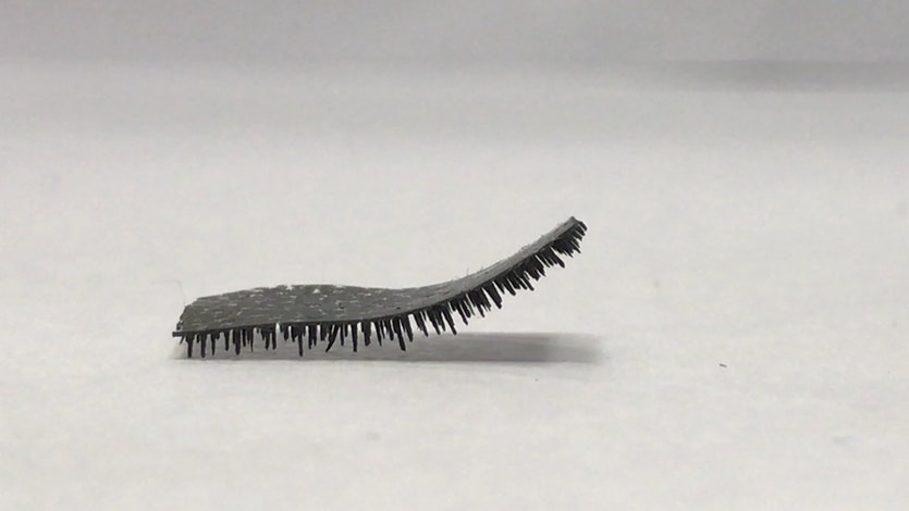 A close-up of the tiny robot, showing its hundred of millimetre-long legs.