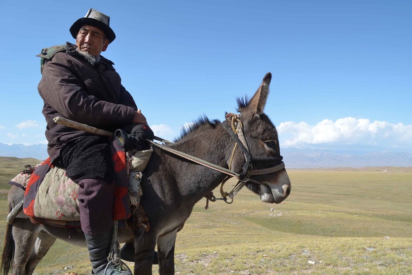 As a shepherd, halnazar turduev, bundled in winter clothes, remembers warmer days as a boy in the alai valley.