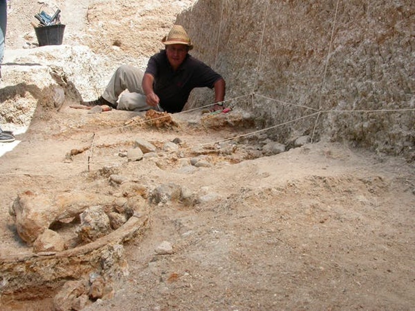 Sahnouni excavating at the site.