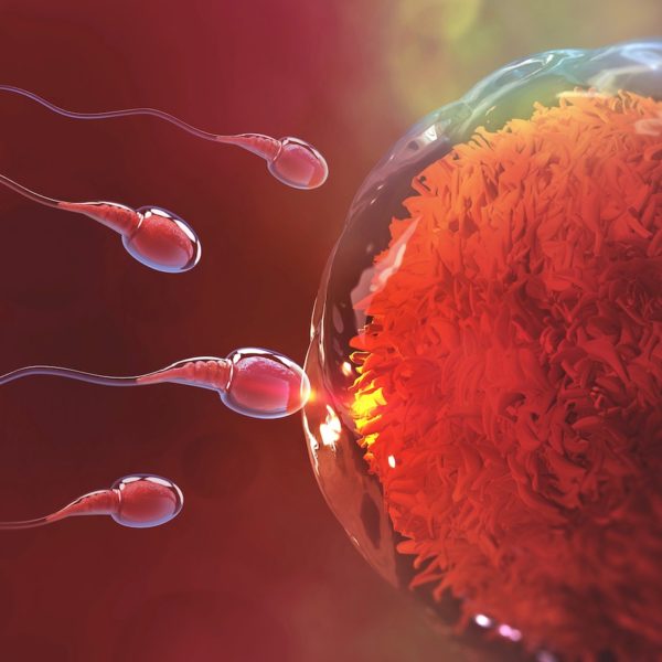 The Mystery Of Human Sperm Tail Cosmos Magazine