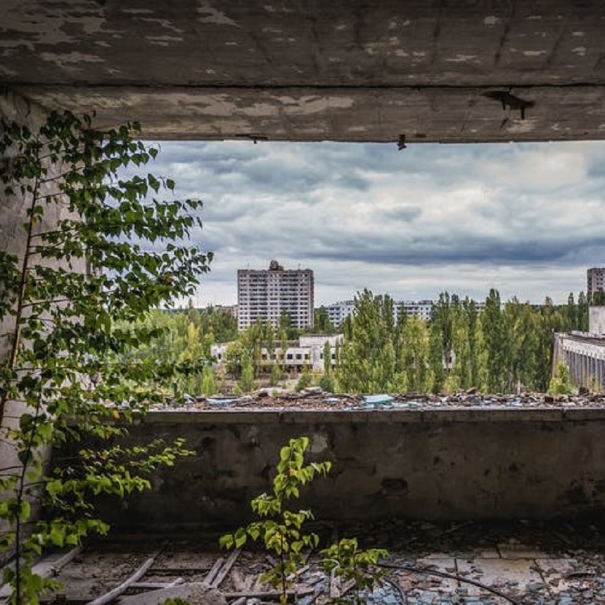 the wake of Chernobyl, thrive