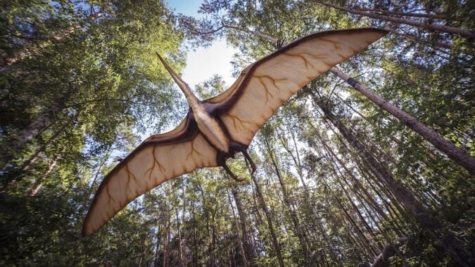 Discovery of a new species of pterosaur suggests they may have lived longer than previously thought.