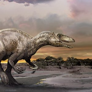 Meet Murusraptor, a 'giant thief' among dinosaurs - Cosmos Magazine