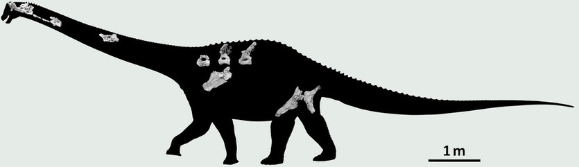 211016 titanosaur 3