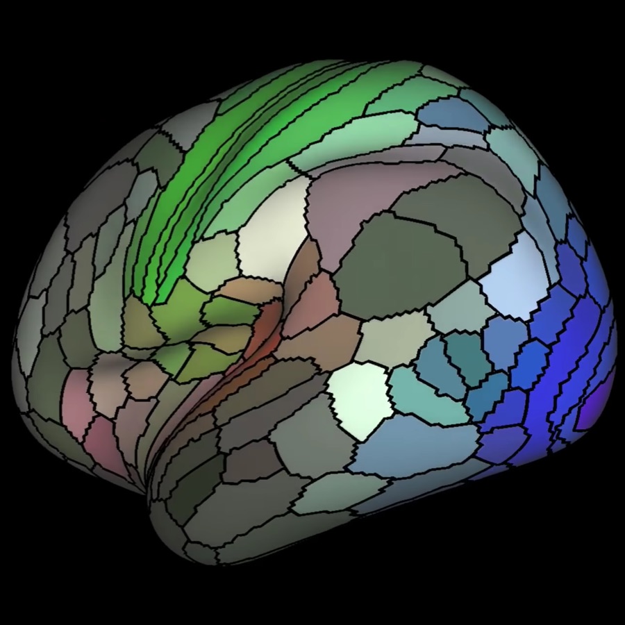 human brain mapping 2019