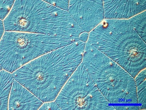 sollar cells